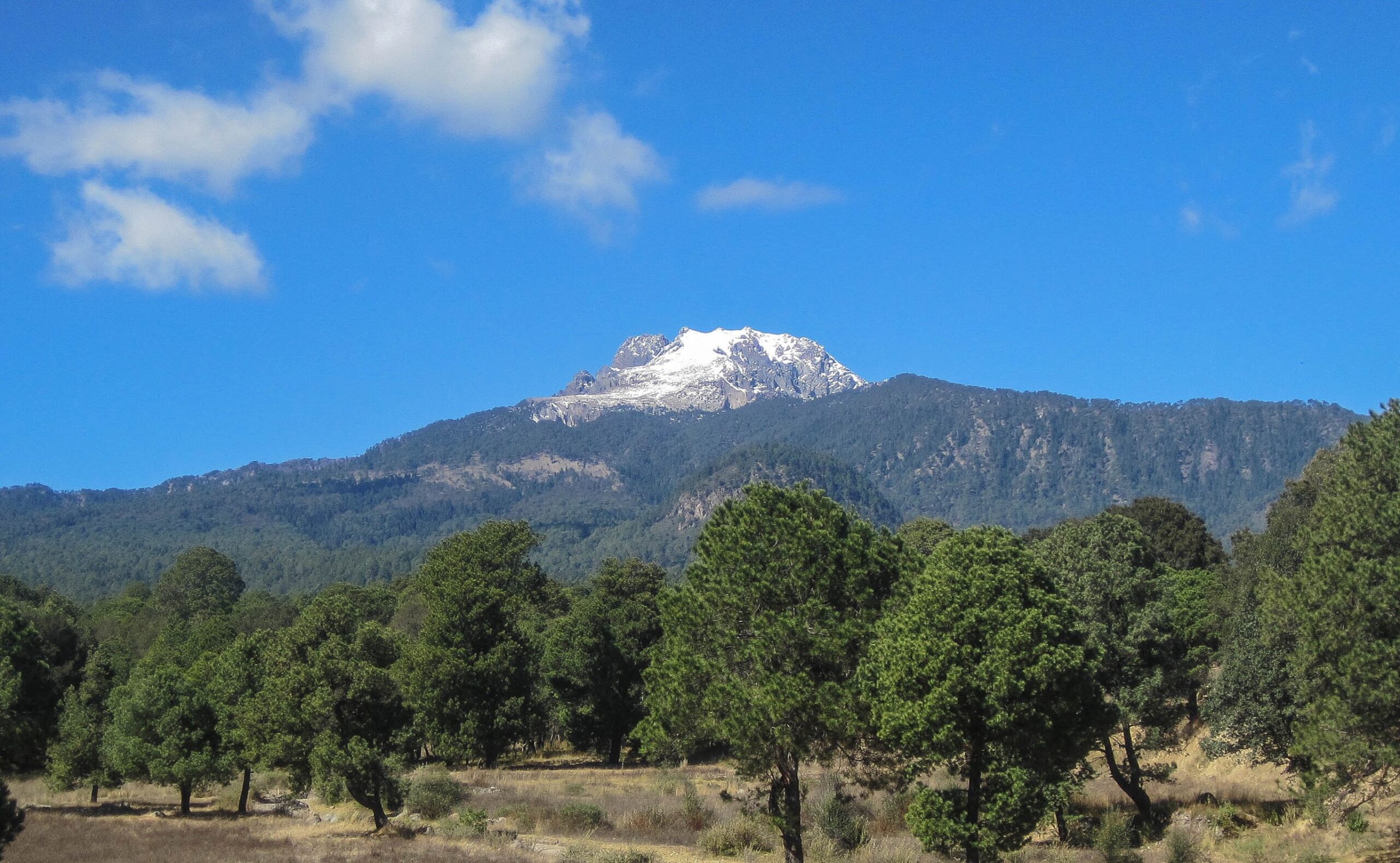 Malinche